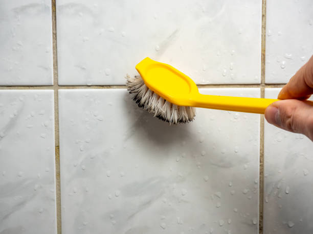 Best Same-Day Mold Removal  in West Liberty, IA