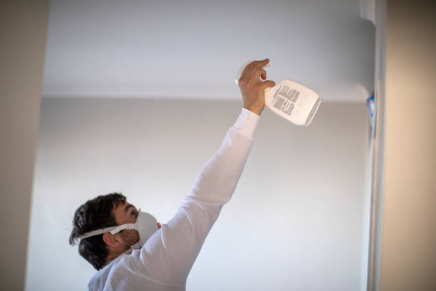 Best Local Mold Removal Service  in West Liberty, IA