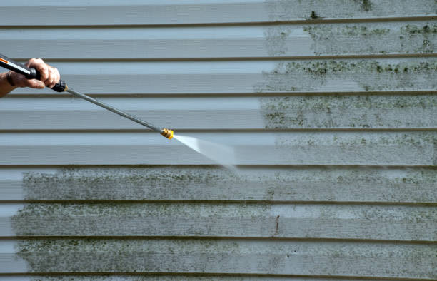 Best Professional Mold Removal  in West Liberty, IA