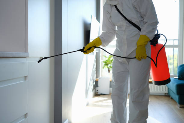  West Liberty, IA Mold Removal Pros
